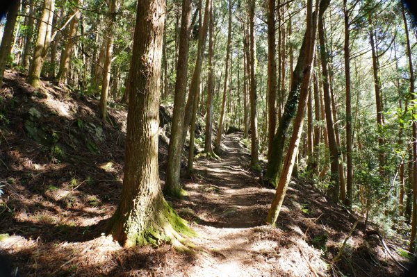 新竹 五峰 西高橋山、霞喀羅大山2959323