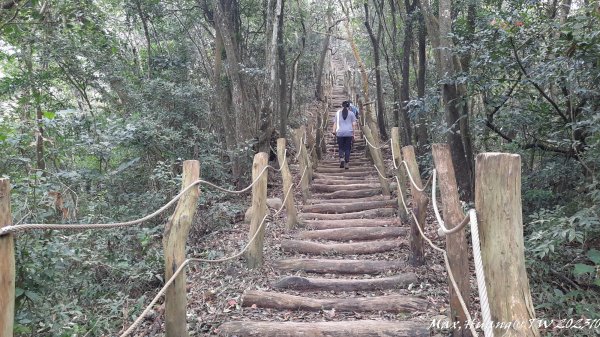 《台中》黑松山雞｜大坑5-1號上5號步道下202310292330725