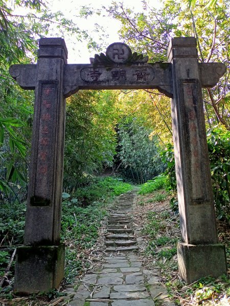 桃園大溪石門水庫楓林步道、齋明寺古道【南山神壽任務】1963933