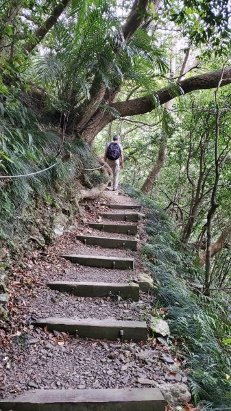 屏東山旅 – 雙流國家森林遊樂區（瀑布步道-沿山步道）2679939