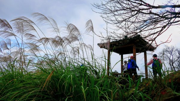 你若來汐止2961416