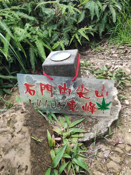 微笑山線：【天上山系】望月亭桐花段2855486