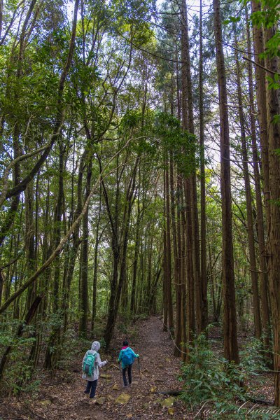 谷關七雄_屋我尾山2977002