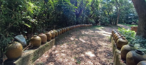 神壽任務尋寶趣-五酒桶山、山鼻山步道1801601