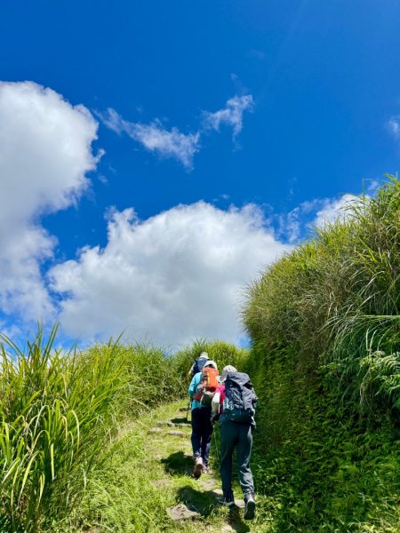 上磺溪橋走魚路古道/金包里城門/擎天崗/冷水坑2872127