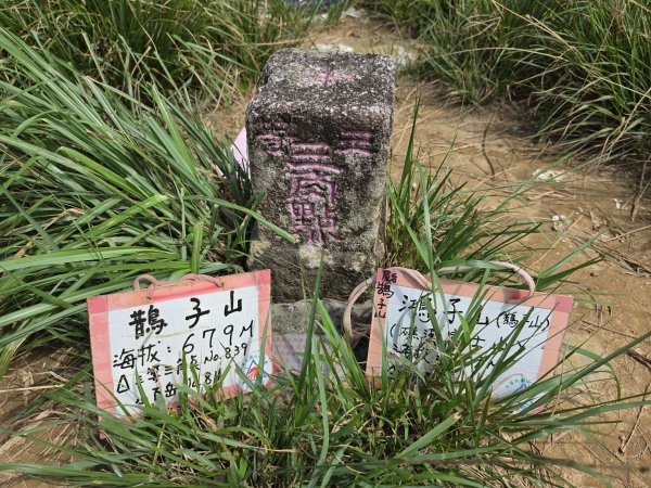 小百岳No.84⛰鵲子山3113090