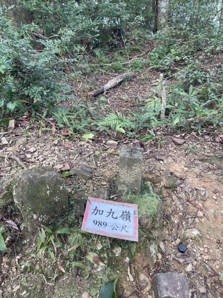 熊空紅河谷越嶺古道2916305