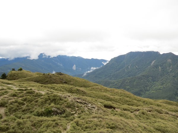 合歡山東峰-尖山-小奇萊-石門山2513145