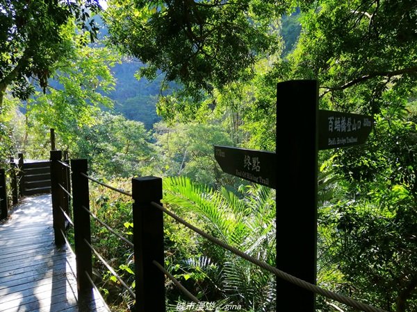 台中~仙氣繩橋山林環繞。 蝙蝠洞登山步道1295482