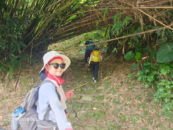 平湖西步道.內平林山.大坑山.平湖東步道O走全紀錄3094123