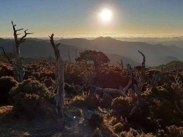 冰霜嘉明湖封面