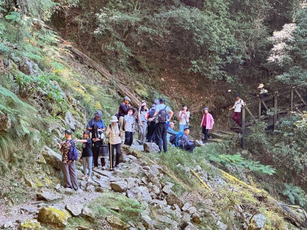 漫遊大雪山森林 訪尋雪山大小神木 快閃天池2922775