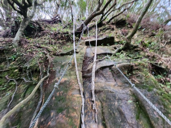 火燒寮山熊空山竹坑山加九嶺O型2966285