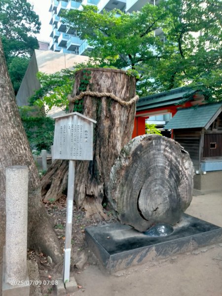 神戶生田神社2832601