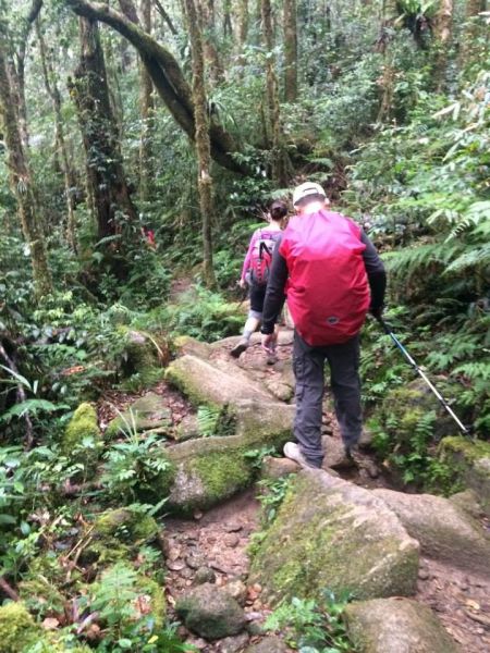 馬來西亞沙巴 京納巴魯山102740