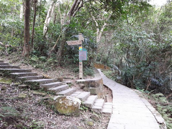 圓覺寺步道 2017.03.02141405