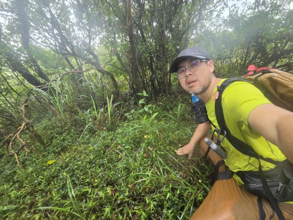 20260819九芎林山西北峰-主峰-土地公嶺3111511