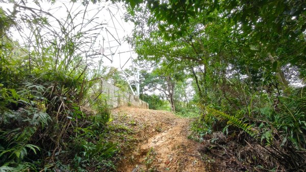 燕溪古道-大崙尾山西峰-仙座台山-圓明寺步道2926538