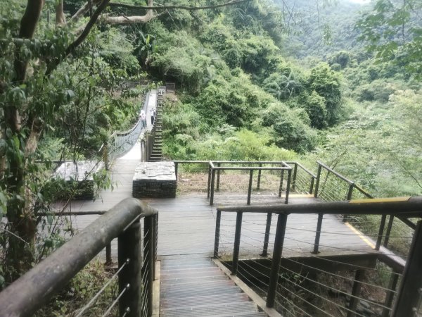 1150728新寮瀑布步道3096879