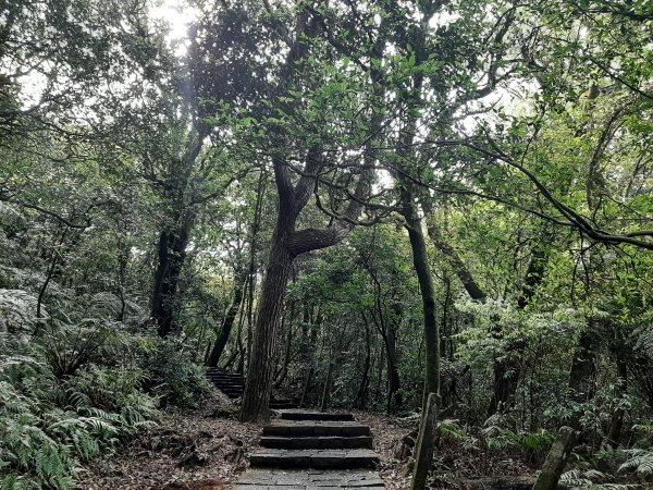 110 年春 登七星山1345733