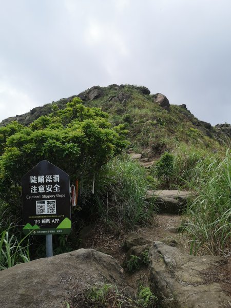 2022-04-24 南雅南新宮-劍龍稜-555峰-半屏山-燦光寮山-黃金博物館遊客中心1686689