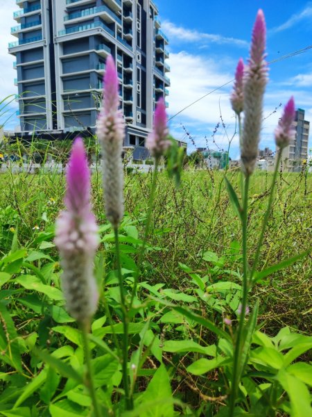 頭城烏石港-蘭陽博物館-龜山島401兩日遊2818201