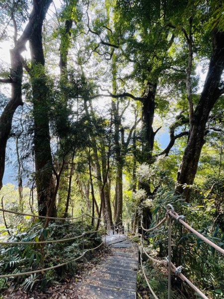 1141129巨人之手｜雪山坑登山步道2949157