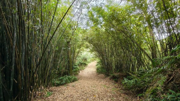 新北深坑，新翠谷登山步道3029713