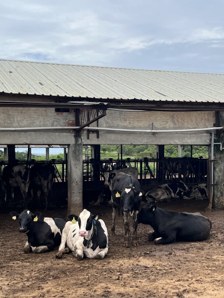 2025/7/26鐵砧山2845964