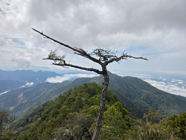 鳶嘴山+稍來神木2709857