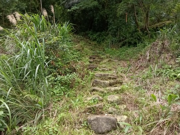 雙溪區大埤遺址東林寺+大埤古道+572峰去回2784165