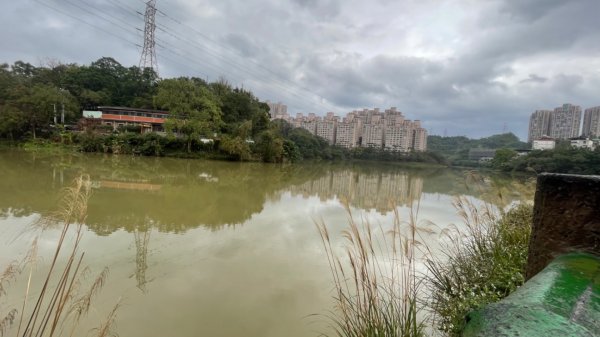 雙湖賞櫻🌸2709096