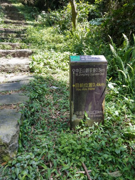 走永春寮步道登中正山，由第一登山口轉頂湖山下頂湖 (2021/3/26)1416715