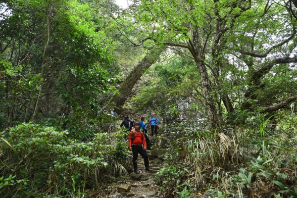 【台中】馬崙山的不可思議：馬崙索道遺跡