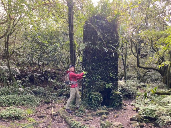 小觀音山群峰【當登山遇到惰性來襲時…】2686406