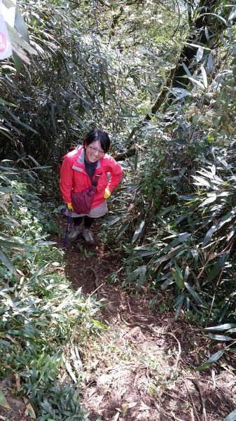 阿興阿賢小觀音山562674