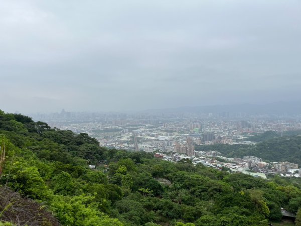 20230422_大棟山+三角頂浦山（新北小百岳）2762313