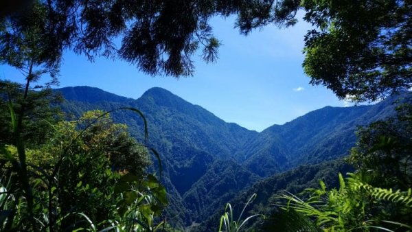 治茆山,治茆山南峰,巒山堂691174