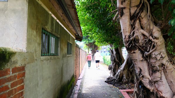茶山步道,鎮南橋,鴉片菸潭,通學古道2602601