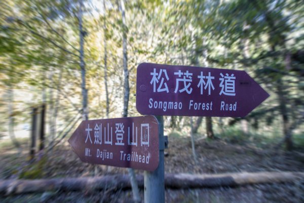 大小劍-油婆蘭全紀錄2674201