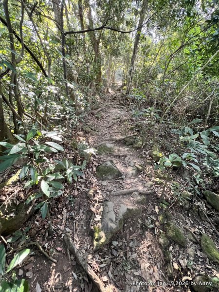 【新竹＋苗栗】猿獅縱走2989069