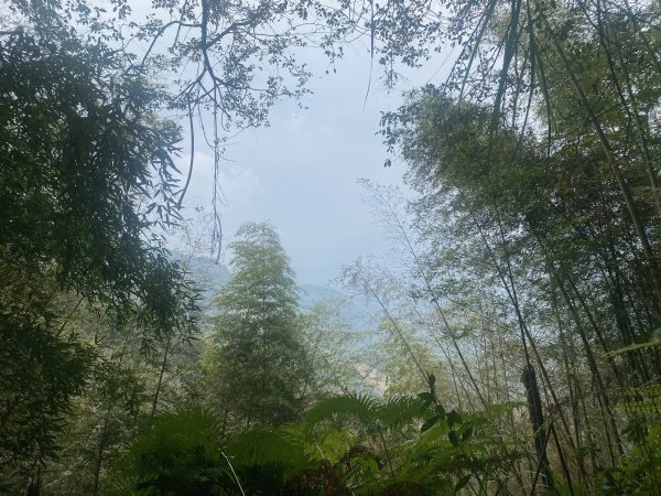 1120329奮瑞古道2643556