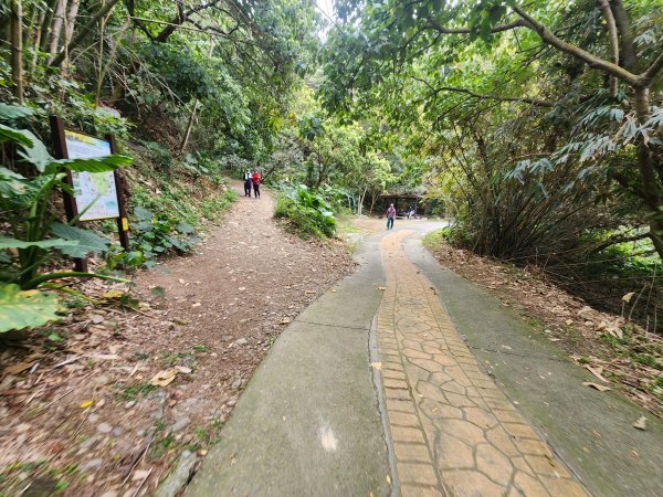 20250223田中大小劍與橫山2939821