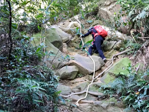 五寮尖上大風狂448882