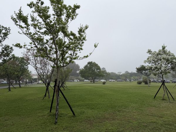 [樟之細路_第一大段RSA03] 2026_0329 石園3027056