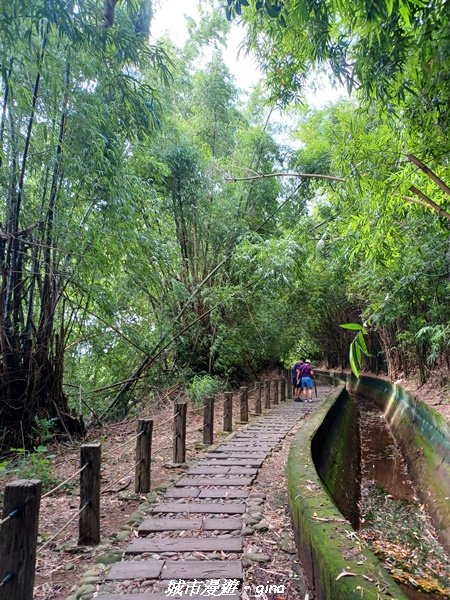 【台中烏日】S型的水圳步道古樸優美。 知高圳步道、雪蓮步道、學田山2874939