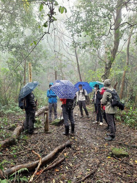 2025元旦山行 新店直潭山、二龍山O型2784967