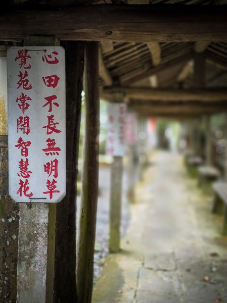 2025-03-08 汶水三山：金童山、汶水山、玉女山 連走2736587