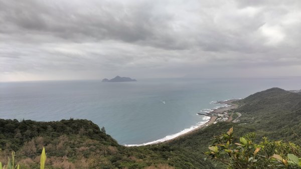 20251115_草嶺古道追芒趣2942941