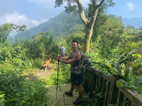 三寶山(烏心石山.鳩州嶺.尖凍山)步道【變成夢魘的大秘寶】2639871